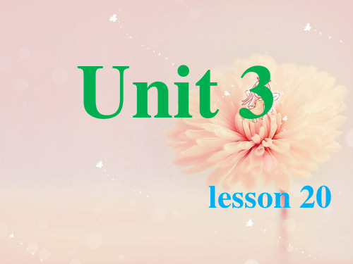 《Unit3 Special days Lesson20》课件1-优质公开课-清华一起3下精品