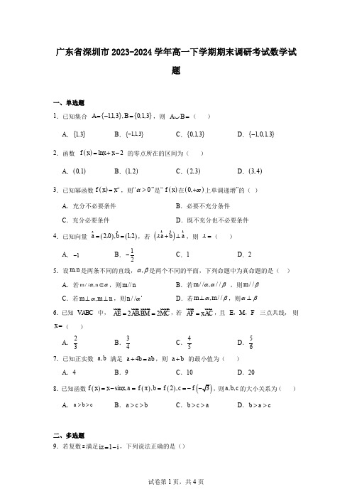 广东省深圳市2023-2024学年高一下学期期末调研考试数学试题