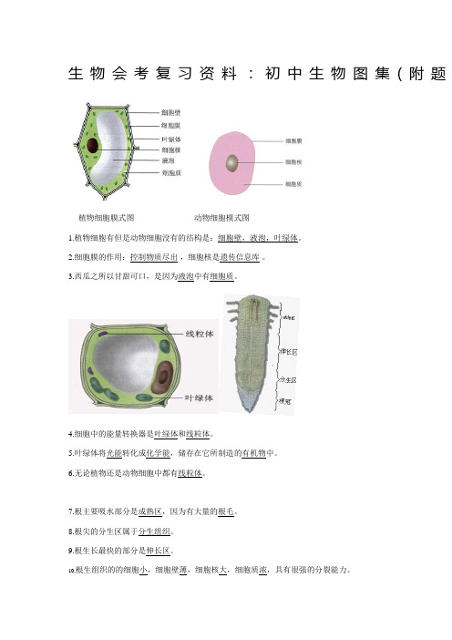 生物会考复习资料初中生物图集附题目人教