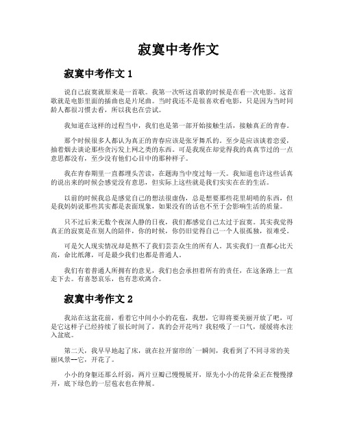寂寞中考作文