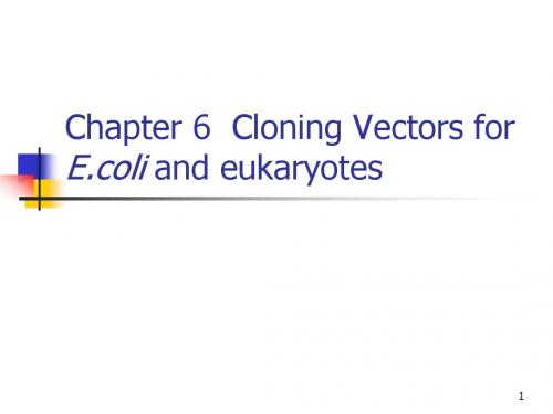 Chapter 6  Cloning Vectors for E  and eukaryotes