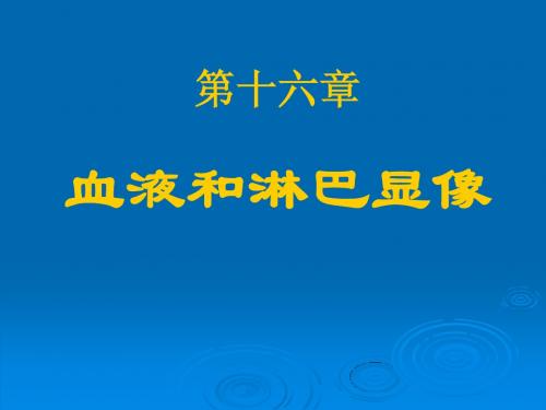 16血液和淋巴显像