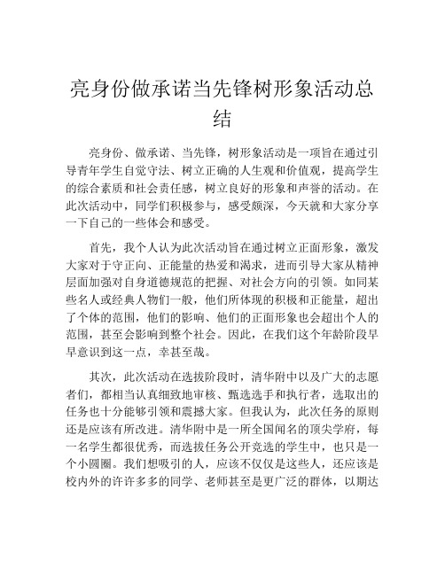 亮身份做承诺当先锋树形象活动总结