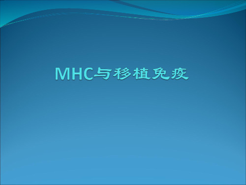 MHC移植免疫