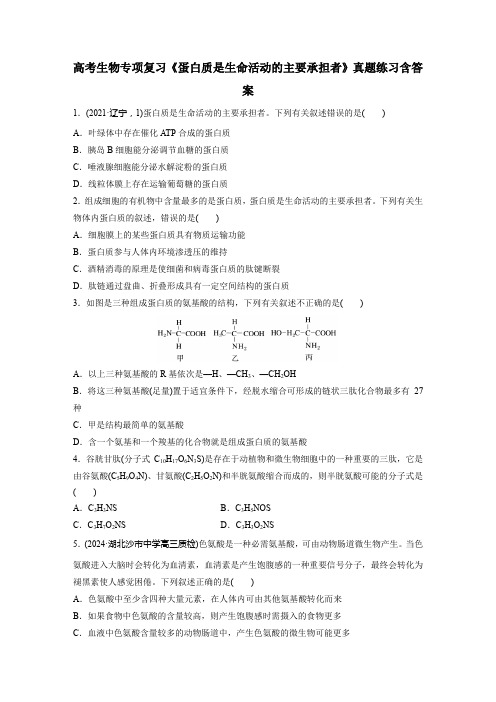 高考生物专项复习《蛋白质是生命活动的主要承担者》真题练习含答案