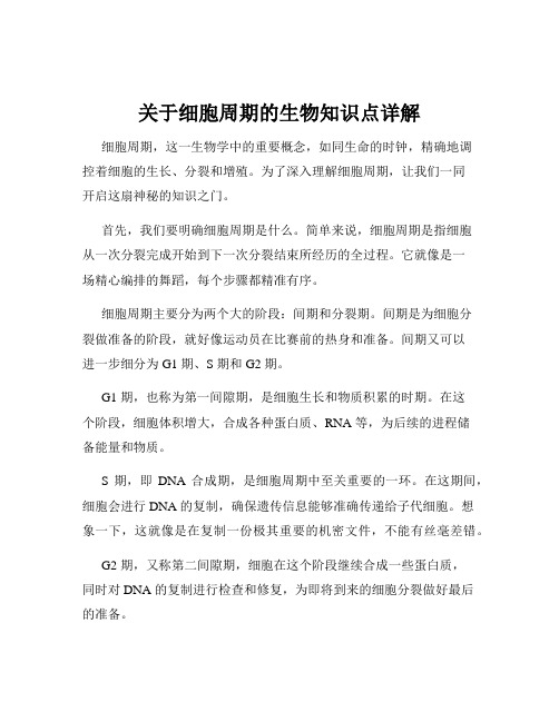 关于细胞周期的生物知识点详解