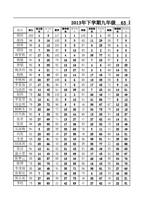 2013下学期大树坳中学期末成绩表