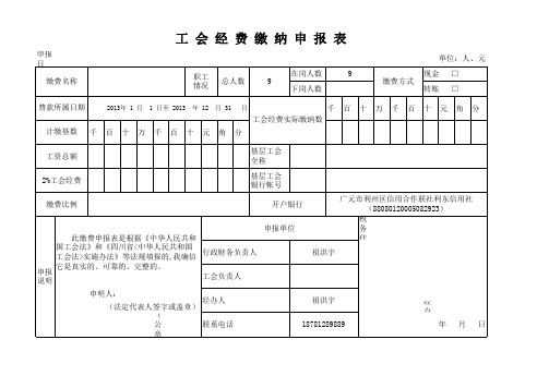 工会经费申报表