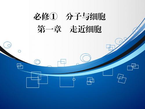 【智慧测评】2015高考生物(人教版)总复习课件：必修1 第1章 走近细胞