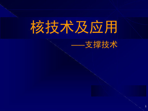 核技术应用及进展(7支撑技术)