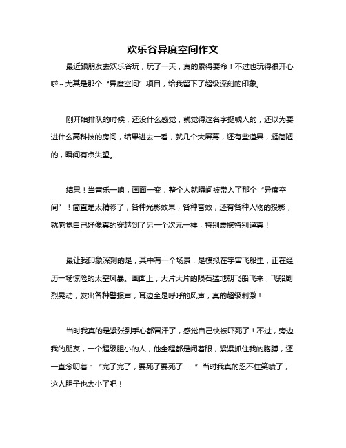 欢乐谷异度空间作文