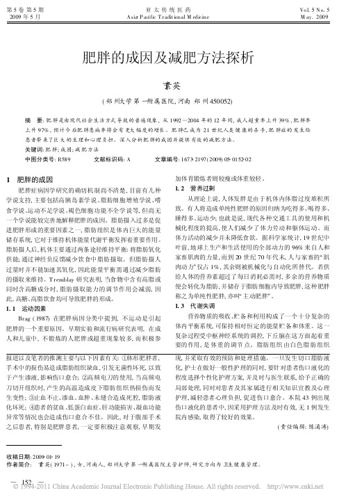 肥胖的成因及减肥方法探析_丁素英