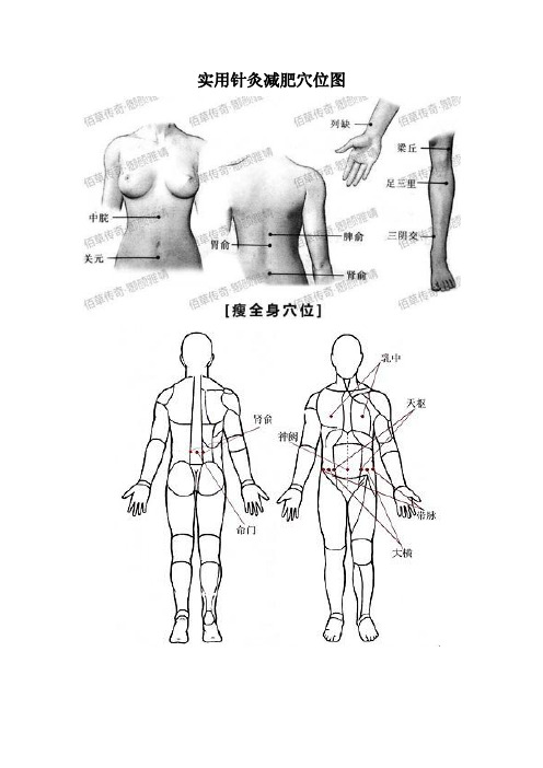 实用针灸减肥穴位图