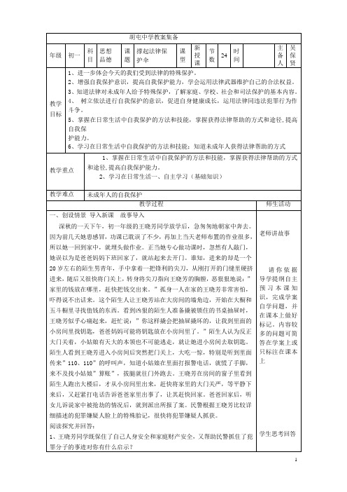 24 七下教案 撑起法律保护伞