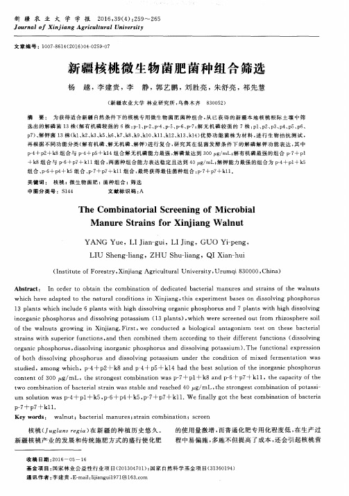 新疆核桃微生物菌肥菌种组合筛选