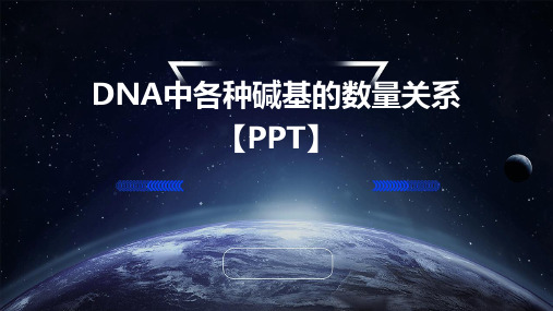 DNA中各种碱基的数量关系【PPT】