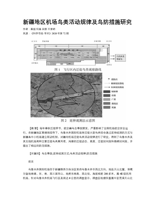 新疆地区机场鸟类活动规律及鸟防措施研究