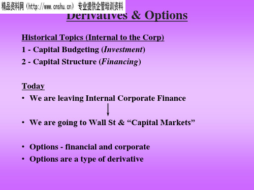 Derivatives与Options(英文版)