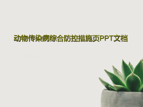 动物传染病综合防控措施页PPT文档共21页文档