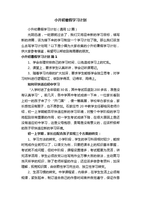 小升初暑假学习计划（通用12篇）