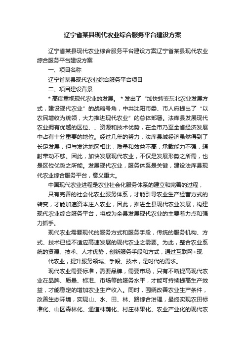 辽宁省某县现代农业综合服务平台建设方案