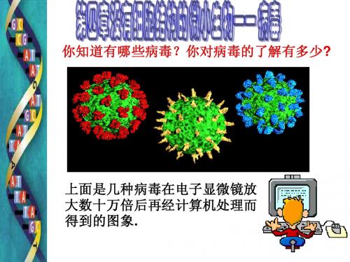 05第二单元第四章病毒