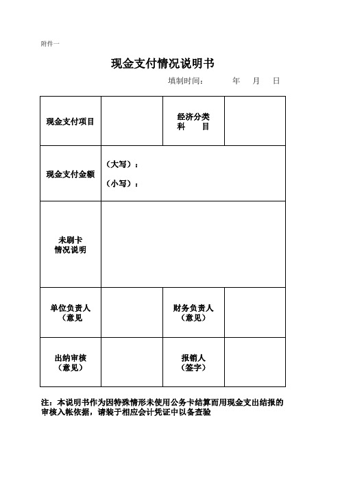 现金支付情况说明书