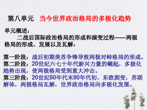 2020年人教版高考历史当今世界政治格局的多极化趋势复习课件(共61张PPT)