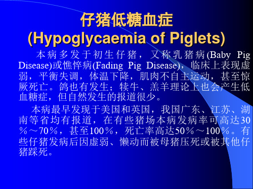 低 糖 血 症(Hypoglycemia)