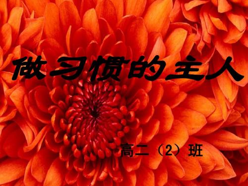 做习惯的主人__主题班会