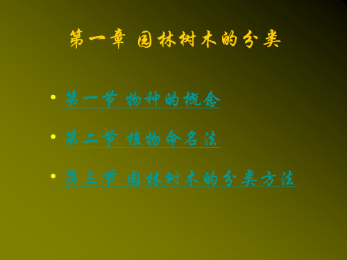 树木学课件：第一章 园林树木的分类