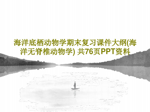 海洋底栖动物学期末复习课件大纲(海洋无脊椎动物学) 共76页PPT资料PPT文档78页