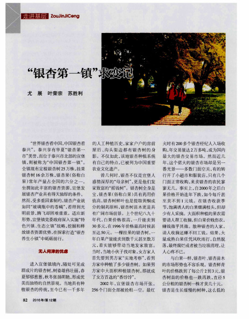 “银杏第一镇”求变记