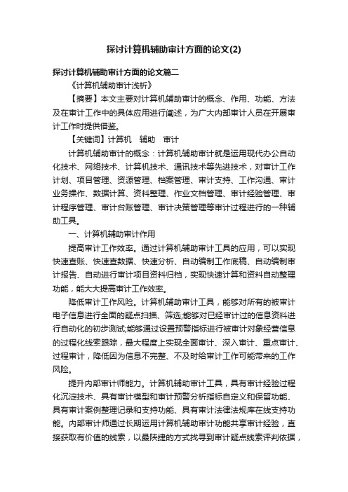 探讨计算机辅助审计方面的论文（2）