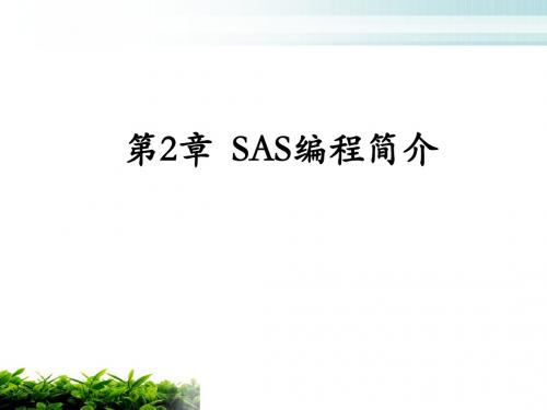 第2章_SAS编程简介