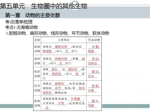 【掌控中考】2015版  人教版 中考 生物复习 考点梳理 ：第五单元 生物圈中的其他生物(共50张PPT)