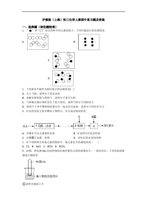 沪教版(上海)初三初三化学上册期中复习题及答案