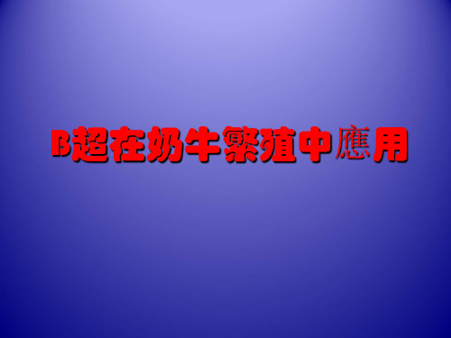 B超在奶牛繁殖中应用  PPT课件