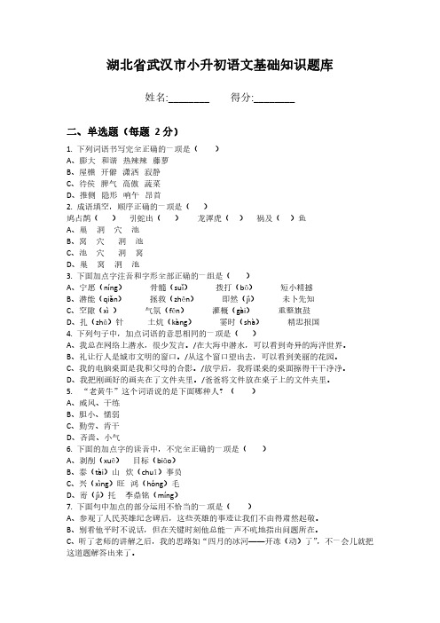 湖北省武汉市小升初语文基础知识题库