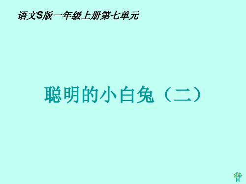 一年级语文上册 聪明的小白兔(二) 1PPT课件