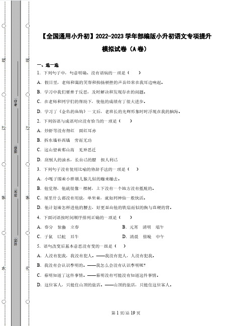 【全国通用小升初】2022-2023学年部编版小升初语文专项提升模拟试卷AB卷(含解析)