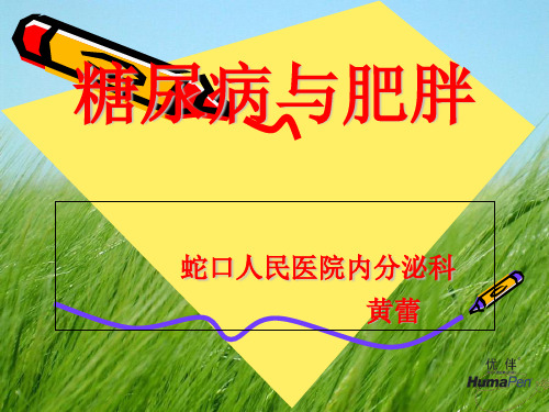 糖尿病与肥胖(1)PPT