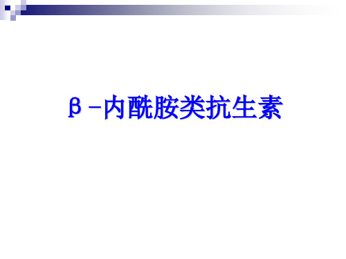 β-内酰胺类抗生素