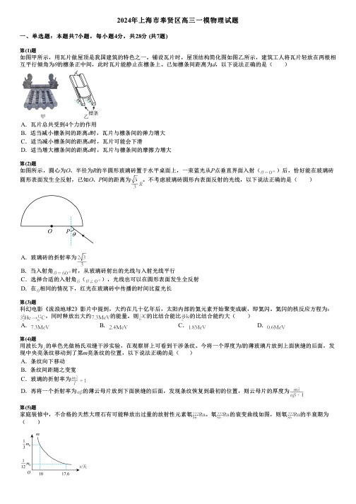 2024年上海市奉贤区高三一模物理试题