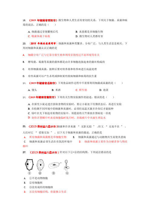 初中生物七年级上册-生物圈中的微生物2019