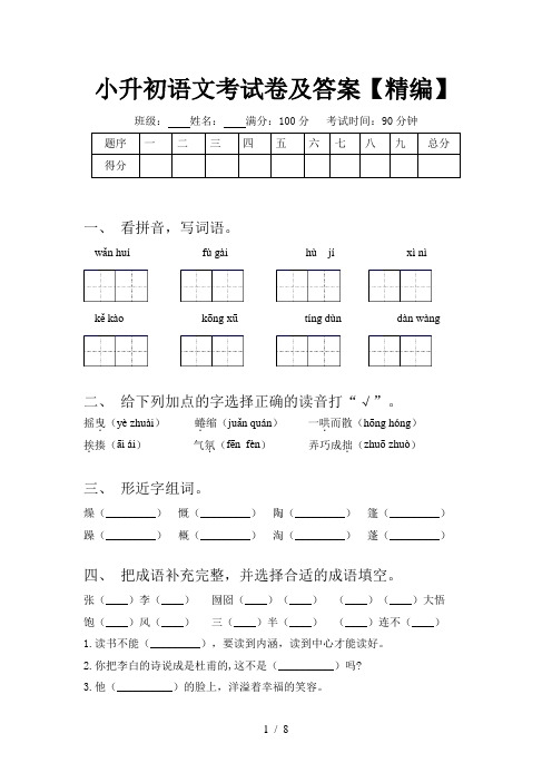 小升初语文考试卷及答案【精编】