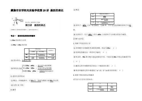 高考生物一轮复习 第六单元 遗传的分子基础  基因的表达