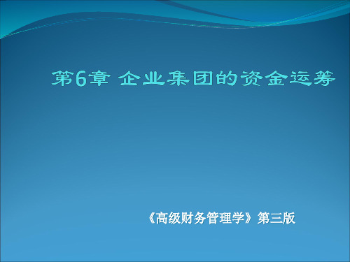 高级财务管理第六章