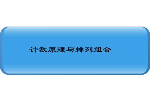 2011高考数学总复习  计数原理与排列组合课件