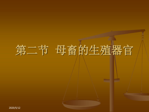 第二节母畜生殖器官-PPT文档资料